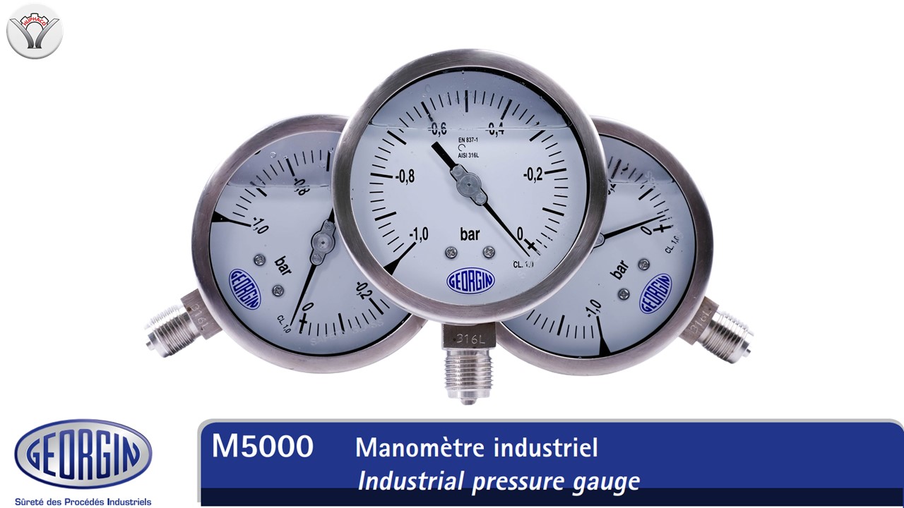Thông số đồng hồ đo áp suất M5000